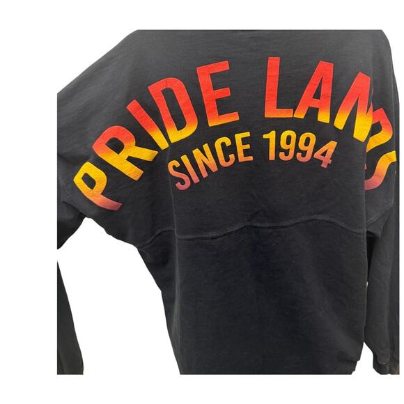 @Tab Tops - Disney Parks The Lion King Hakuna Matata Spirit Jersey Pride Lands Small Shirt